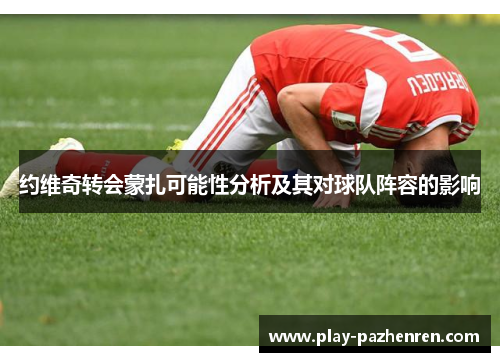 约维奇转会蒙扎可能性分析及其对球队阵容的影响