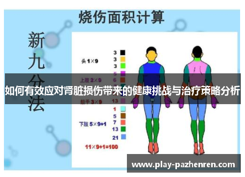 如何有效应对肾脏损伤带来的健康挑战与治疗策略分析