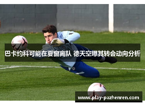 巴卡约科可能在夏窗离队 德天空曝其转会动向分析 巴卡约科可能在夏窗离队 德天空曝其转会动向分析