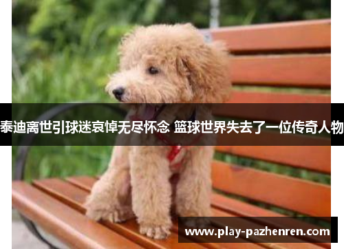 泰迪离世引球迷哀悼无尽怀念 篮球世界失去了一位传奇人物 泰迪离世引球迷哀悼无尽怀念 篮球世界失去了一位传奇人物