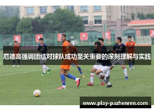 厄德高强调团结对球队成功至关重要的深刻理解与实践